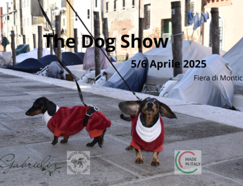 The Dog Show 2025