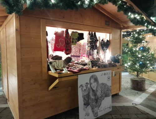 MERCATINO ARTIGIANALE DI NATALE PER FIDO E PER TE